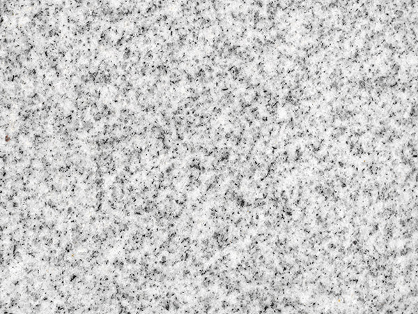 2012022960081629.jpg