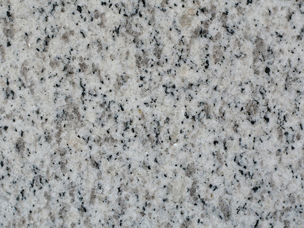 5832db83d1419.jpg